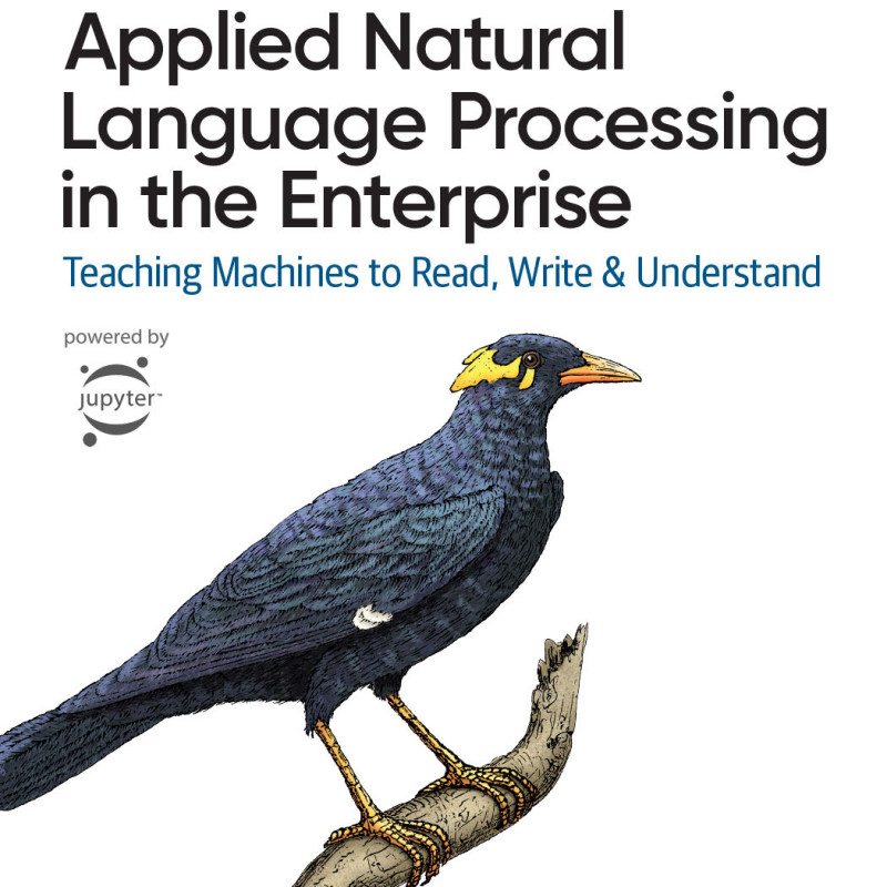 Applied Natural Language Processing in the Enterprise