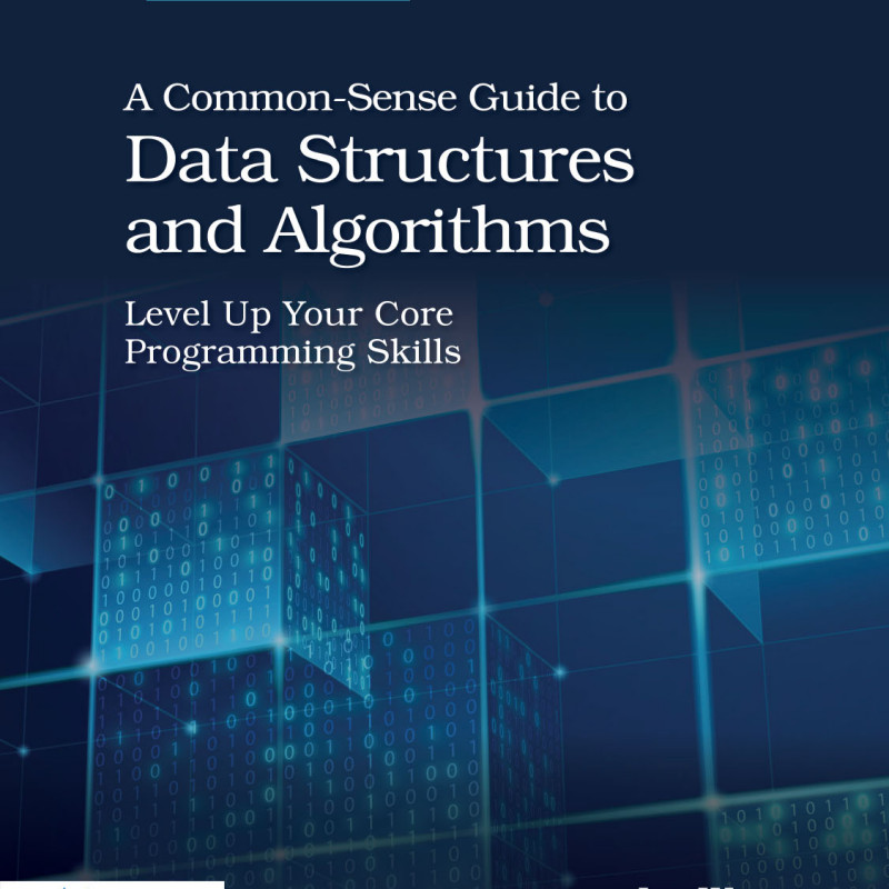 A Common-Sense Guide to Data Structures and Algorithms