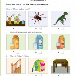 A2 FLYERS PRACTICE TESTS PLUS ( sách màu )