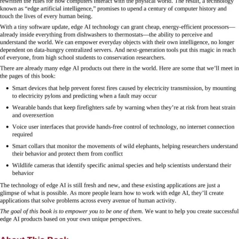 AI at the Edge