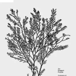 An Elegant Puzzle Systems of Engineering Management - Hanoi Bookstore