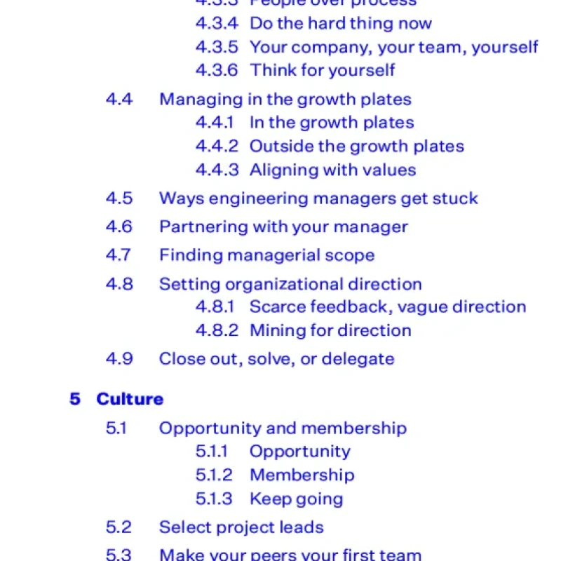 An Elegant Puzzle Systems of Engineering Management - Hanoi Bookstore