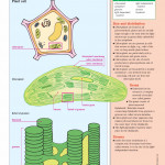 An Illustrated-Guide-to-Science- BIOLOGY ( sách màu)
