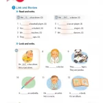 Bộ Sách MY FIRST GRAMMAR 1,2,3 Student's Book + Workbook