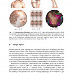 Conformal geometry. Computational algorithms and engineering applications (Jin, Miao)
