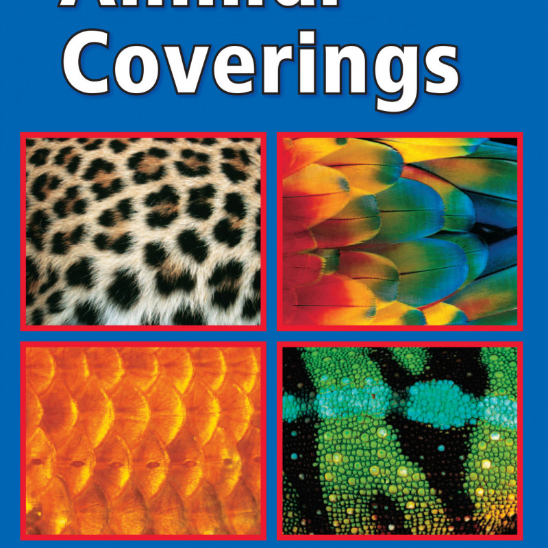 CALIFORNIA LEVELED SCIENCE READERS GRADE K ( sách màu )