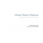 Cloud Native Patterns