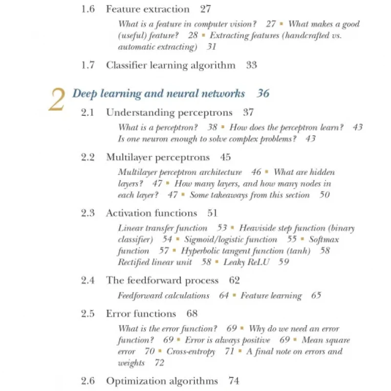 Deep Learning for Vision Systems