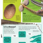 DINOSAURS A TO Z (Sách màu)