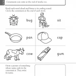 DK Workbooks Language Arts, Math and Science, Grade 1 ( sách đen trắng )