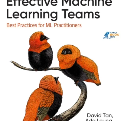 Effective Machine Learning Teams Best Practices for Ml Practitioners