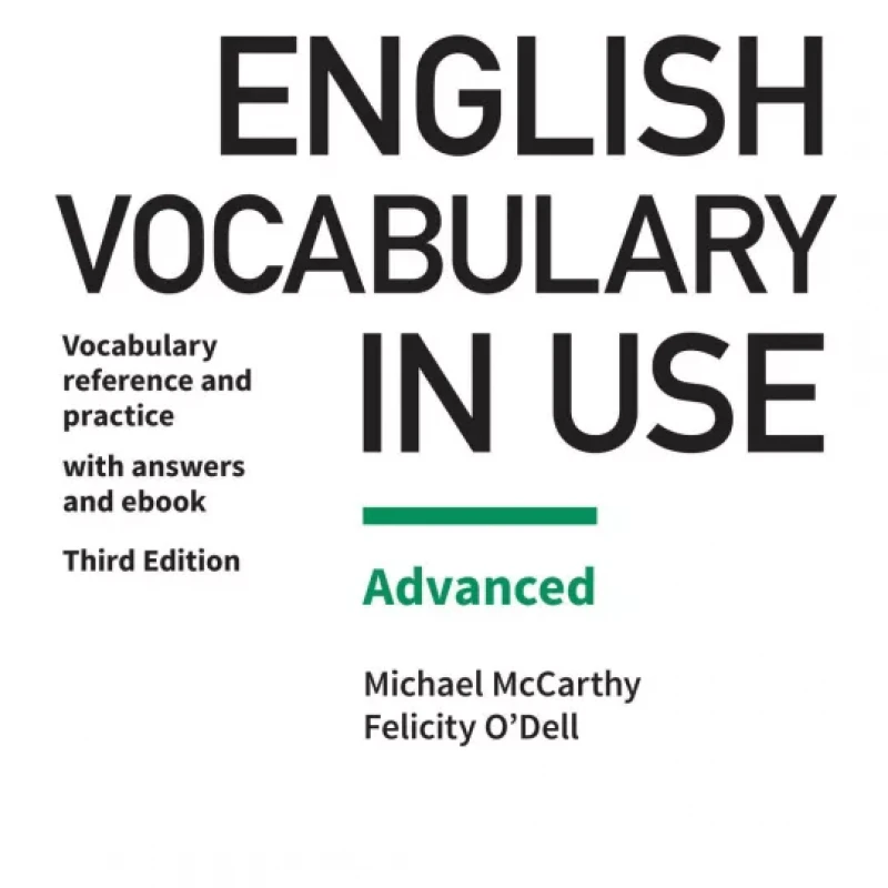 English Vocabulary in Use Advanced