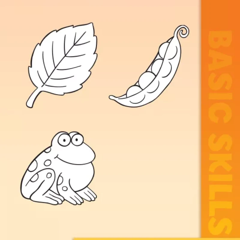 Essentials Prekindergarten