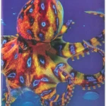 Explore our World 5 - Student book