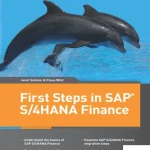 First Steps in SAP S4HANA Finance