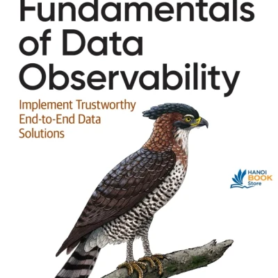 Fundamentals of Data Observability
