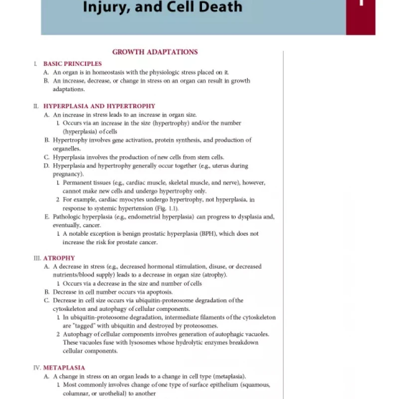 Fundamentals of Pathology: Medical Course and Step 1 Review: 2019 Edition