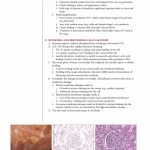 Fundamentals of Pathology: Medical Course and Step 1 Review: 2019 Edition