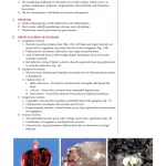 Fundamentals of Pathology: Medical Course and Step 1 Review: 2019 Edition