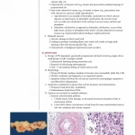 Fundamentals of Pathology: Medical Course and Step 1 Review: 2019 Edition