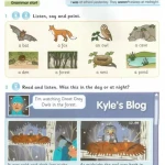 Grammar Goals Student's Book Level 3 (Sách màu)