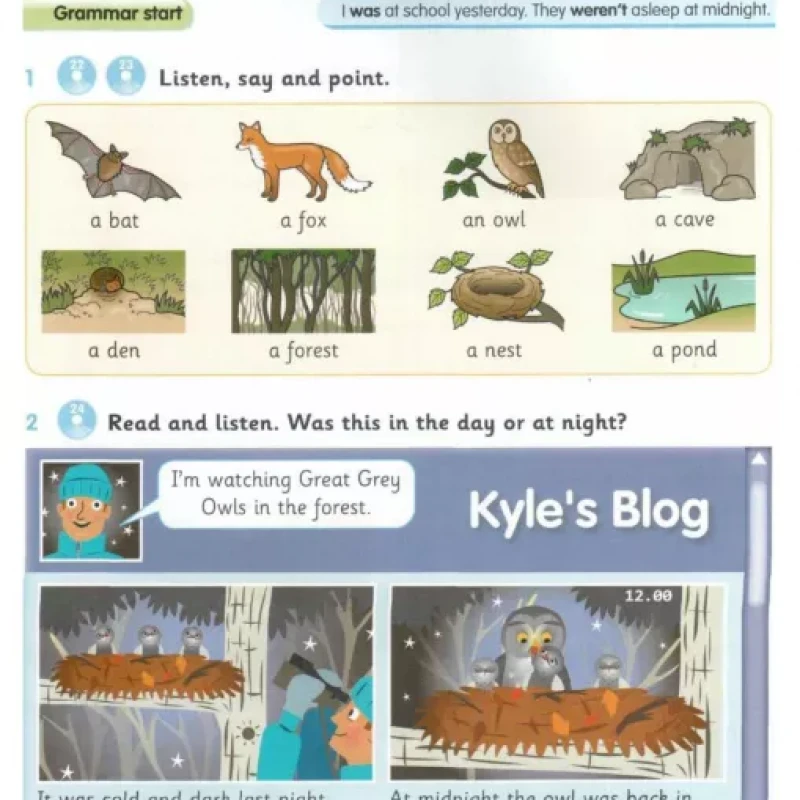 Grammar Goals Student's Book Level 3 (Sách màu)