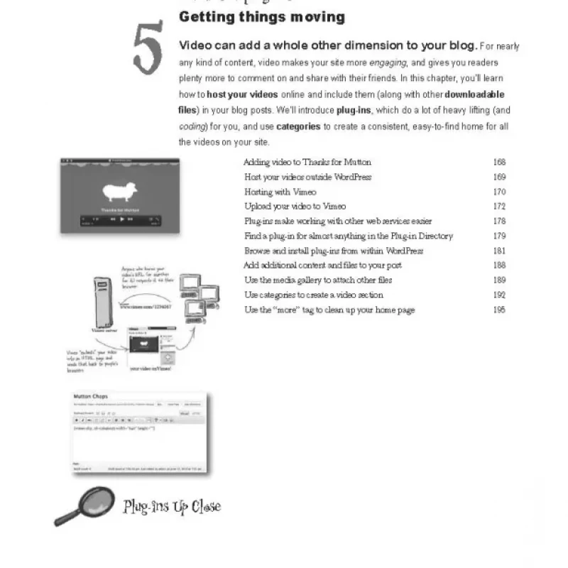 Head First WordPress