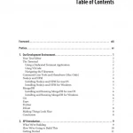 JavaScript Everywhere