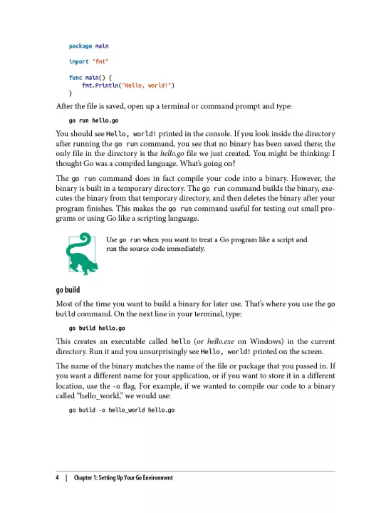 Learning Go An Idiomatic Approach to Real-World Go Programming