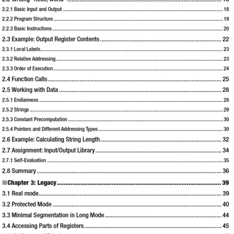 Low-Level Programming C, Assembly