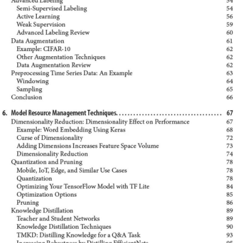 Machine Learning Production Systems