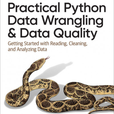 Practical Python Data Wrangling and Data Quality