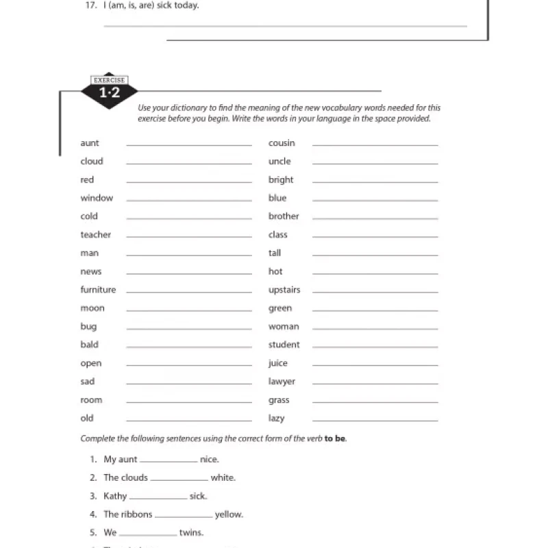 Practice Makes Perfect Basic English, Premium Third Edition ( đen trắng )