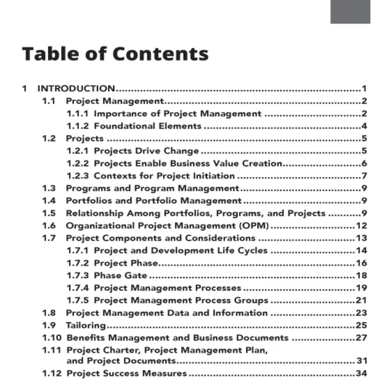 Process Groups A Practice Guide - HanoiBookstore