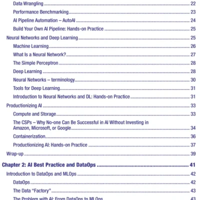 Productionizing AI How to Deliver AI