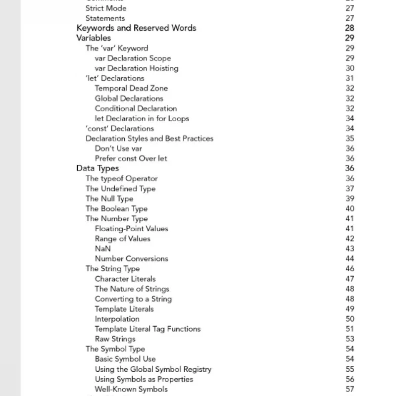 Professional JavaScript for web developers