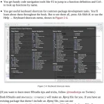 R Packages Organize, Test, Document