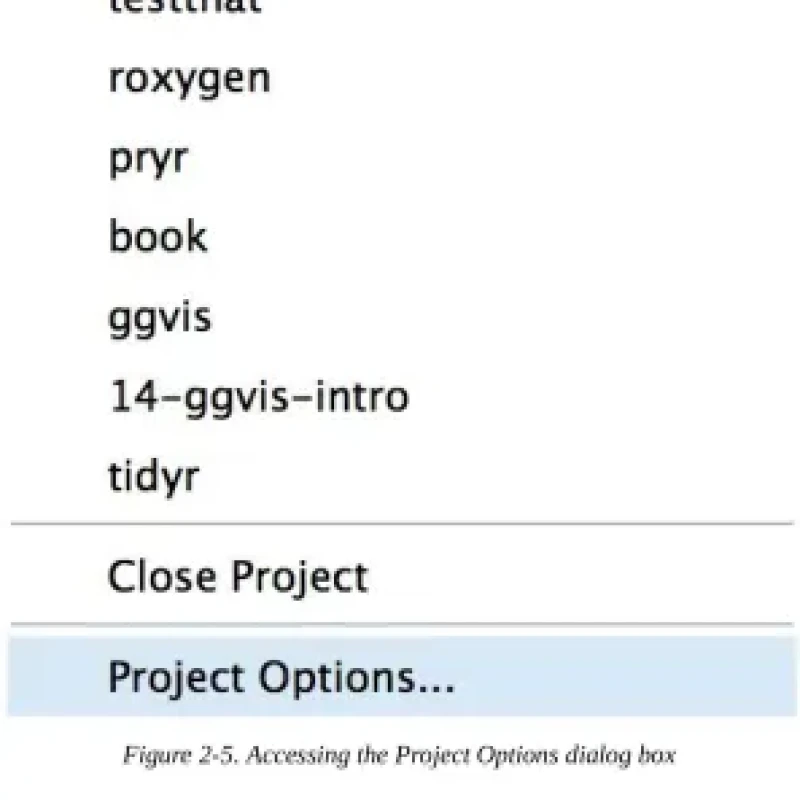 R Packages Organize, Test, Document