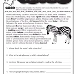 Reading Comprehension Skills and Strategies Level 3