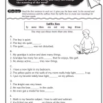 Reading Comprehension Skills and Strategies Level 3