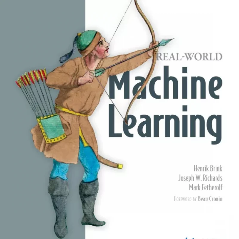 Real-World Machine Learning