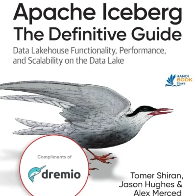 Sách Apache Iceberg The Definitive Guide Data Lakehouse Functionality