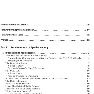 Sách Apache Iceberg The Definitive Guide Data Lakehouse Functionality