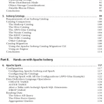 Sách Apache Iceberg The Definitive Guide Data Lakehouse Functionality