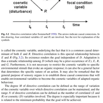 Sách Bioinformatics An Introduction 4th Edition
