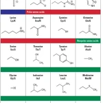 Sách Biopharmaceutical Manufacturing Principles, Processes, and Practices