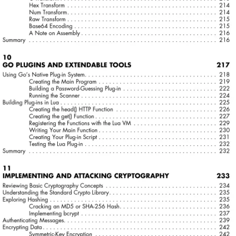 Sách Black Hat Go Go Programming For Hackers and Pentesters