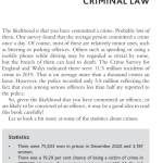 Sách Criminal Law The Basics, 2nd Edition