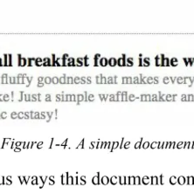 Sách CSS The Definitive Guide Visual Presentation for the Web