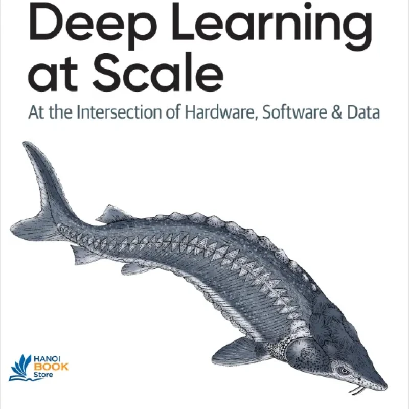 Sách Deep Learning at Scale At the Intersection of Hardware, Software, and Data